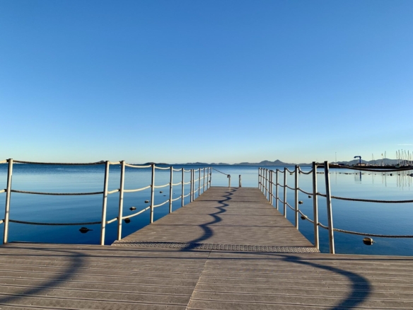 584
