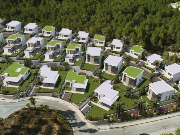 584