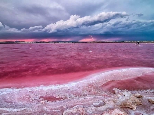 584