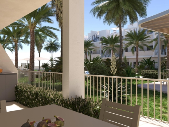 584