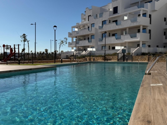 584
