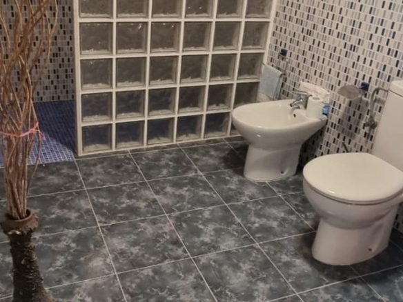 584