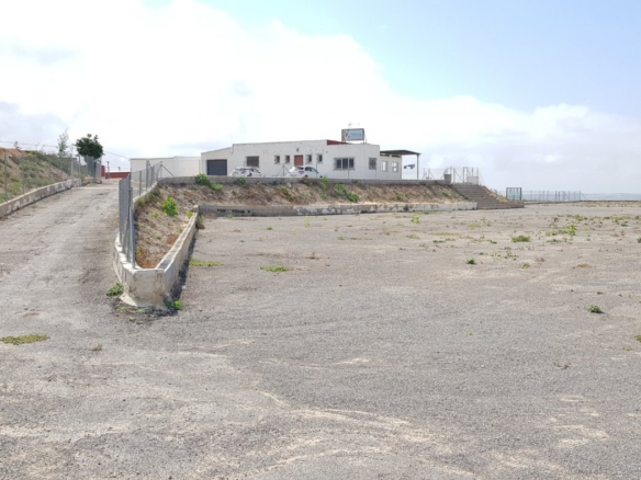 584