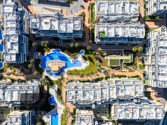 584