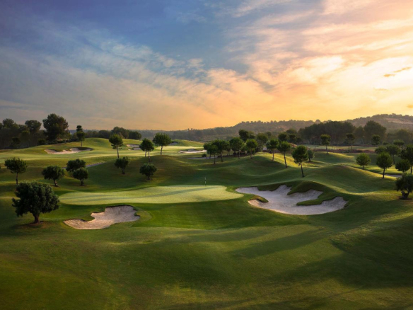 584