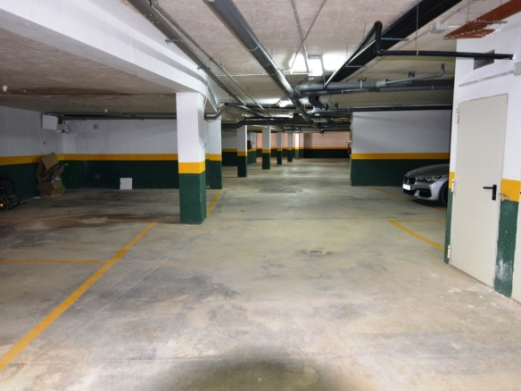 584
