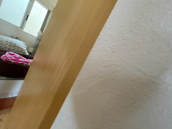 584