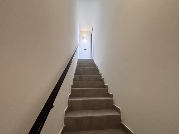 584