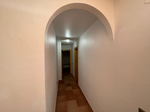 584