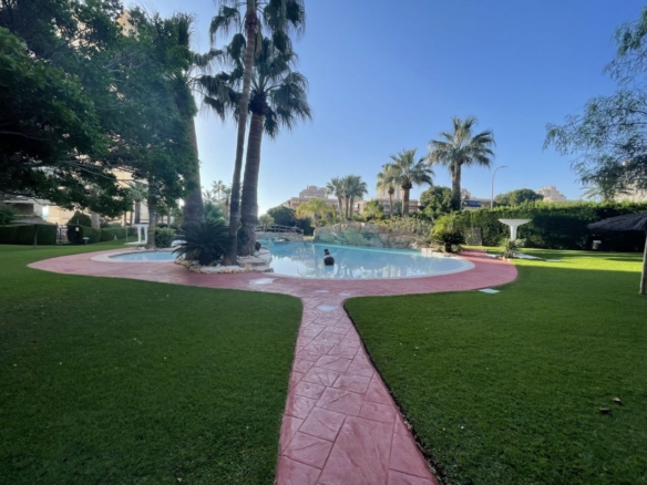 584