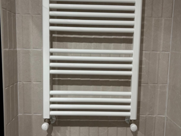584