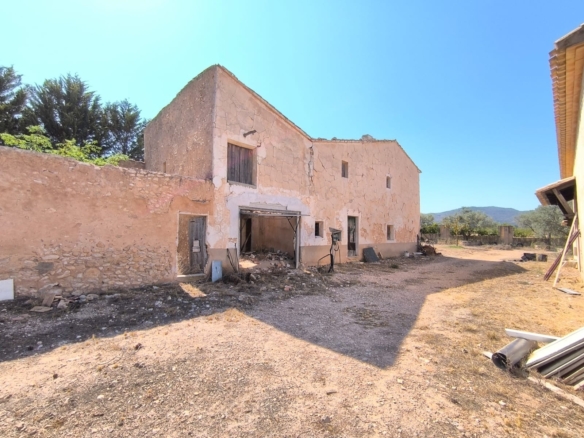 584