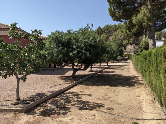 584