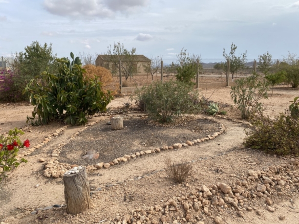 584
