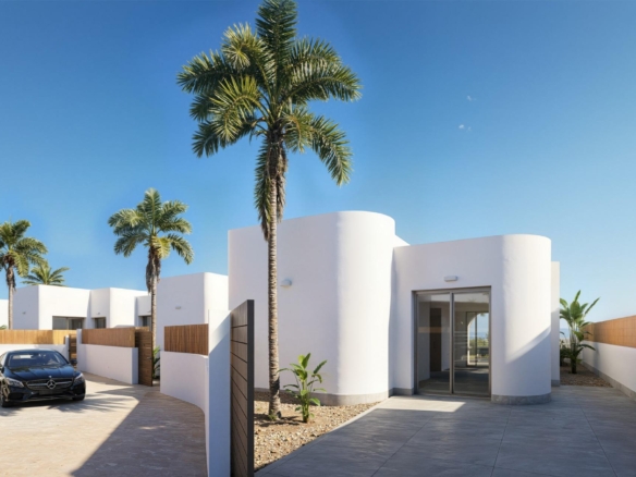 584