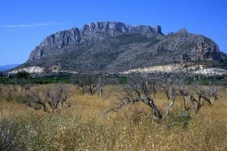NEW BUILD RESIDENTIAL IN EL VERGEL