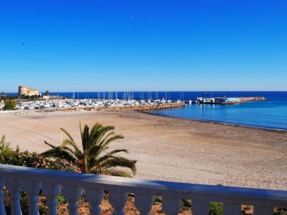 584