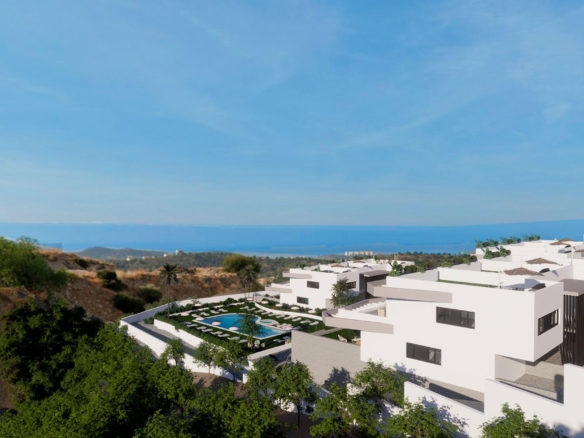584