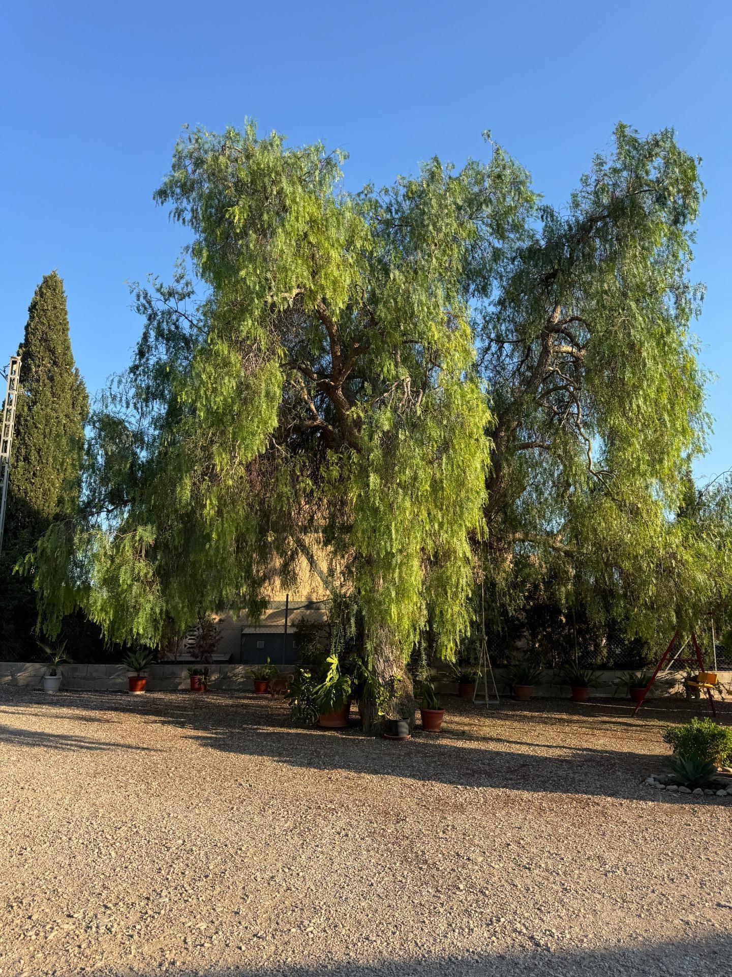 Villa for Sale in Albatera, Alicante