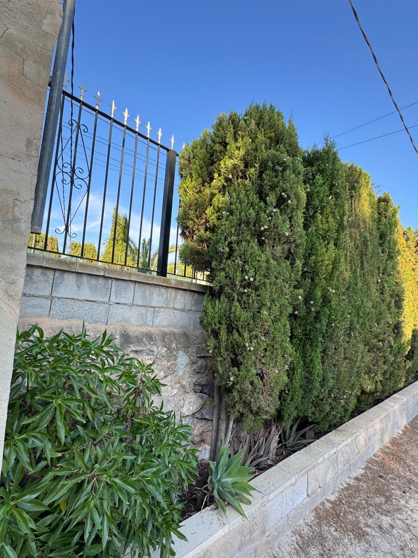Villa for Sale in Albatera, Alicante