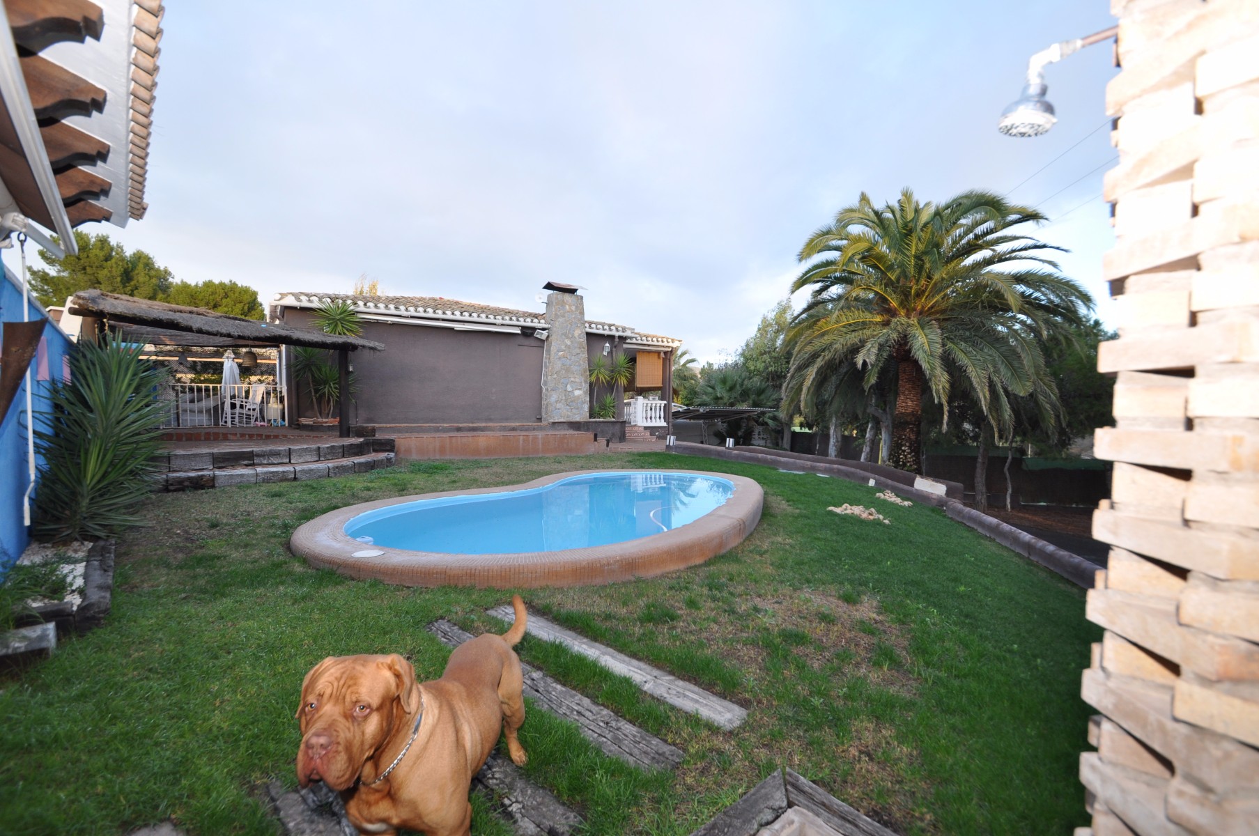 Villa for Sale in Monóvar/Monóver, Alicante