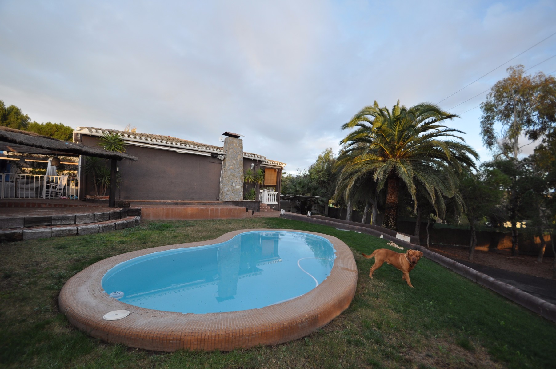 Villa for Sale in Monóvar/Monóver, Alicante