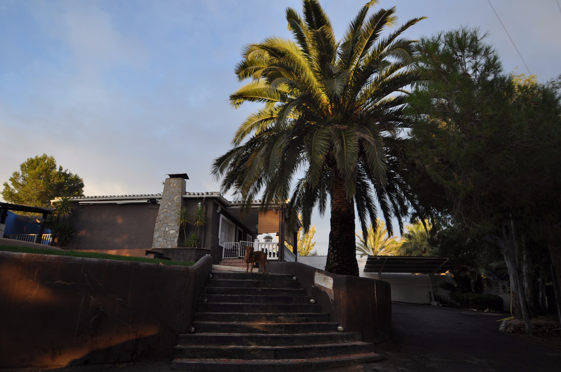 Villa for Sale in Monóvar/Monóver, Alicante