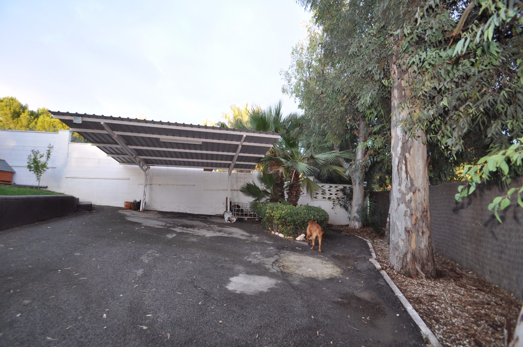 Villa for Sale in Monóvar/Monóver, Alicante