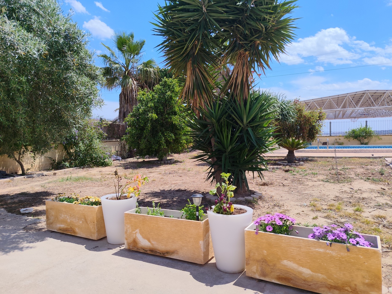 Villa for Sale in Los Montesinos, Alicante