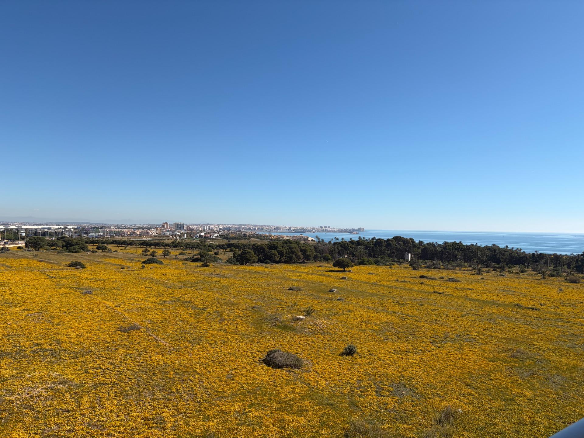 Penthouse for Sale in Torrevieja, Alicante