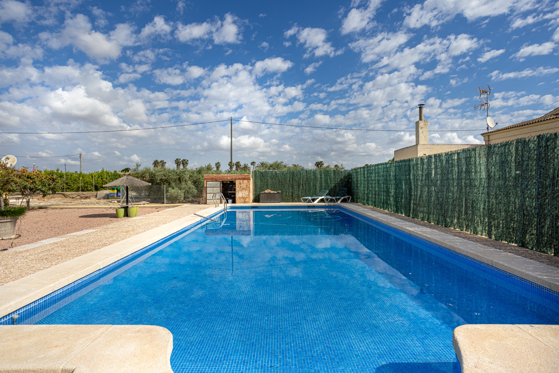 Villa for Sale in Elche, Alicante