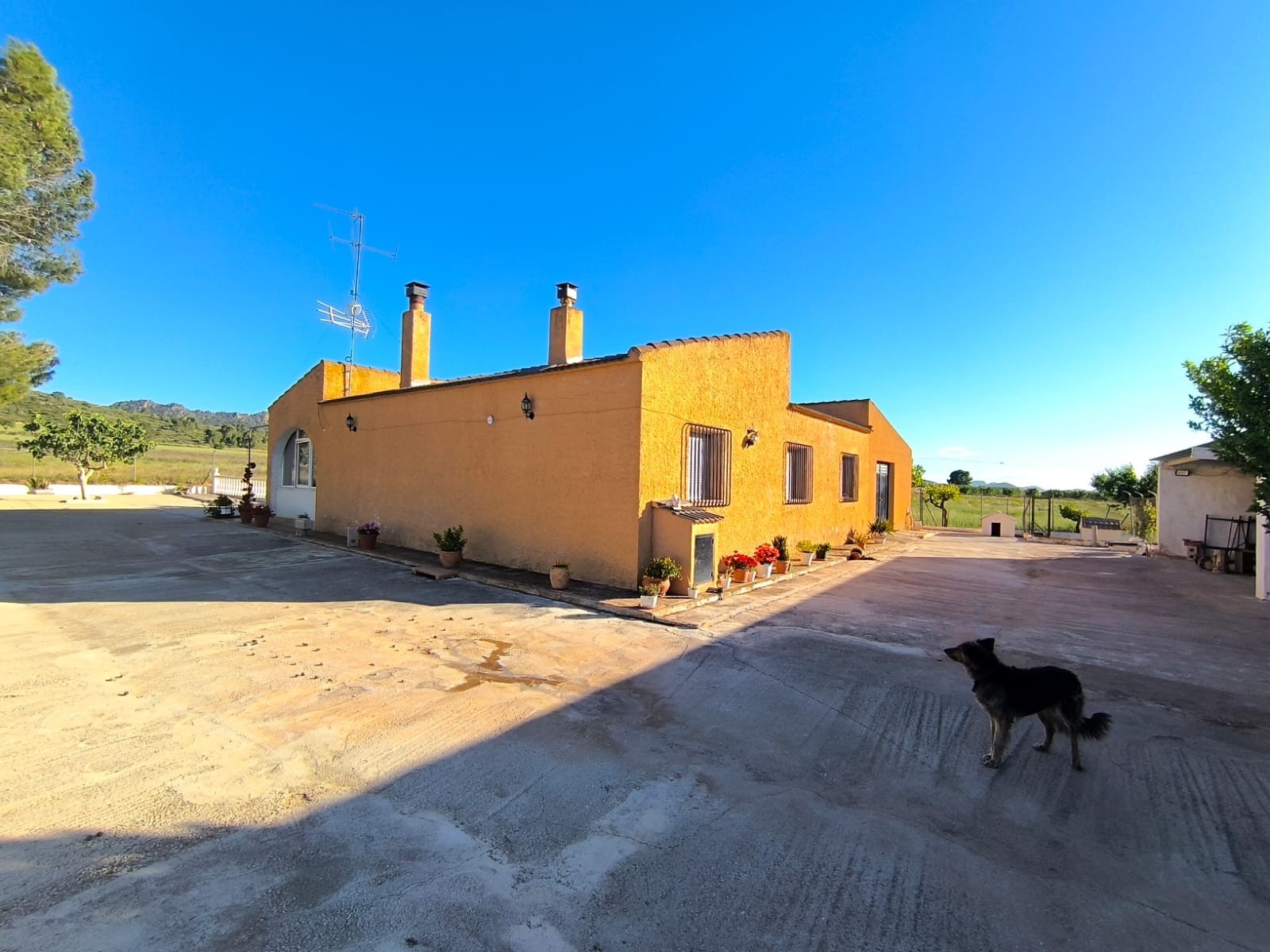 Country House for Sale in Yecla, Murcia