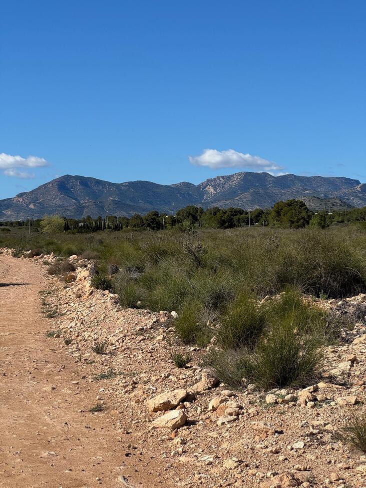 Finca for Sale in Aledo, Murcia
