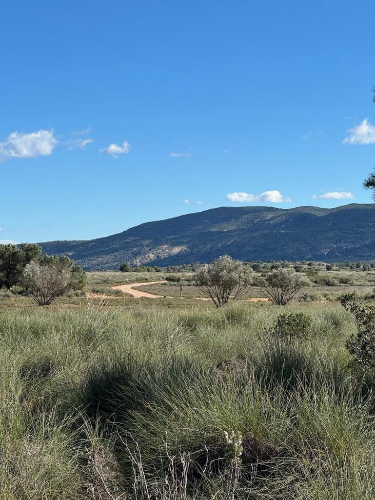 Finca for Sale in Aledo, Murcia