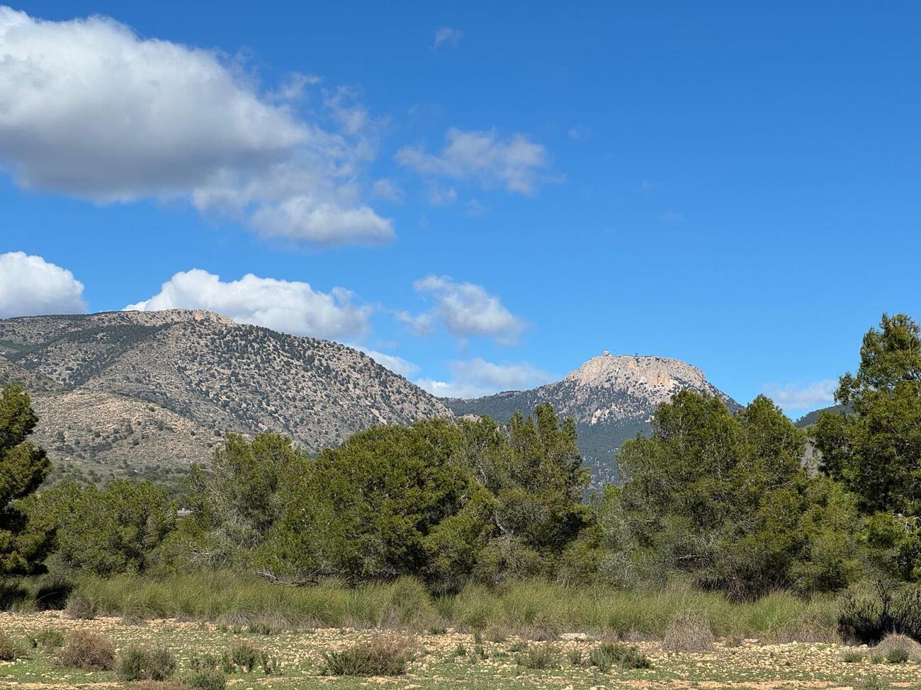 Finca for Sale in Aledo, Murcia