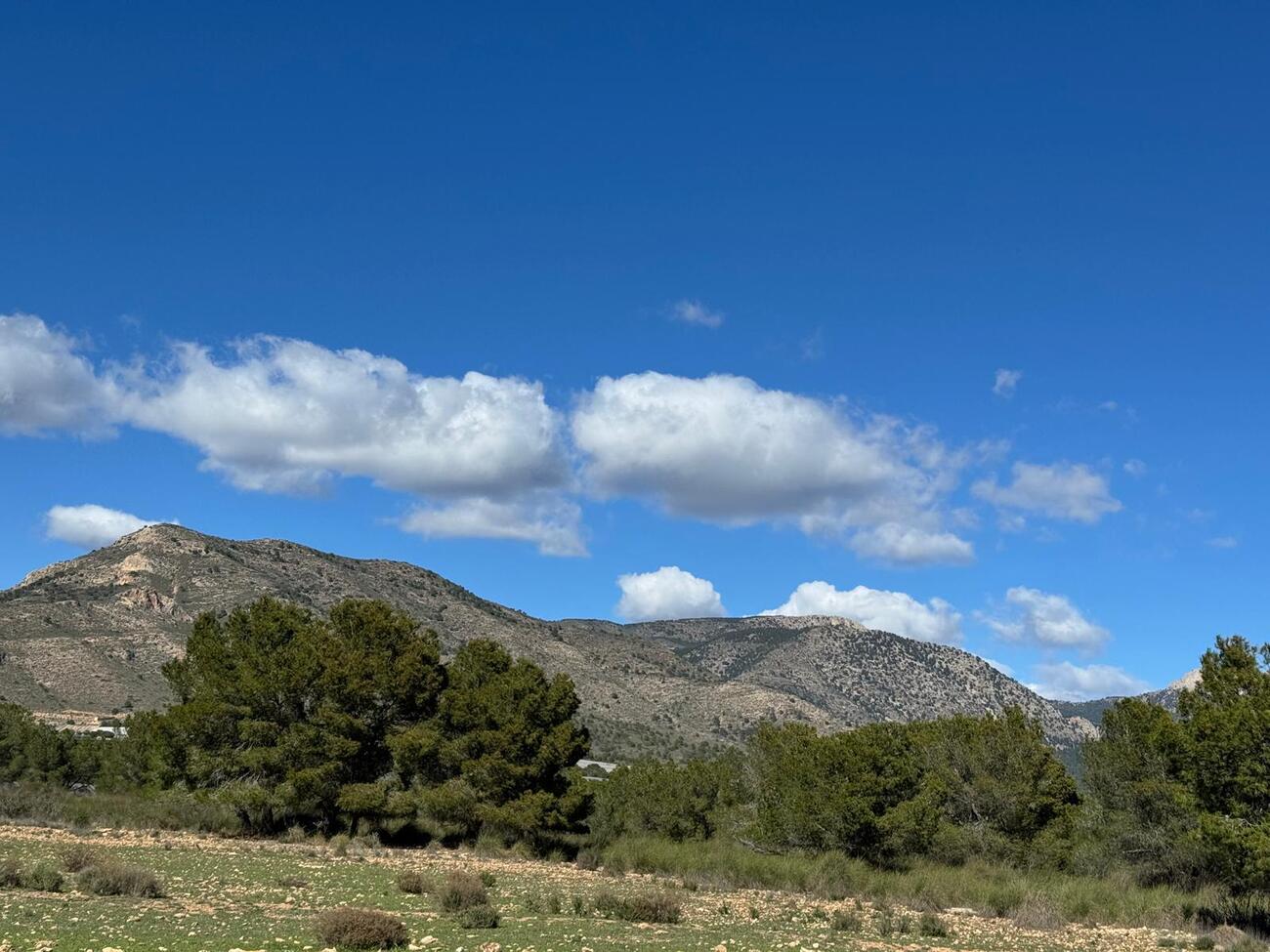 Finca for Sale in Aledo, Murcia