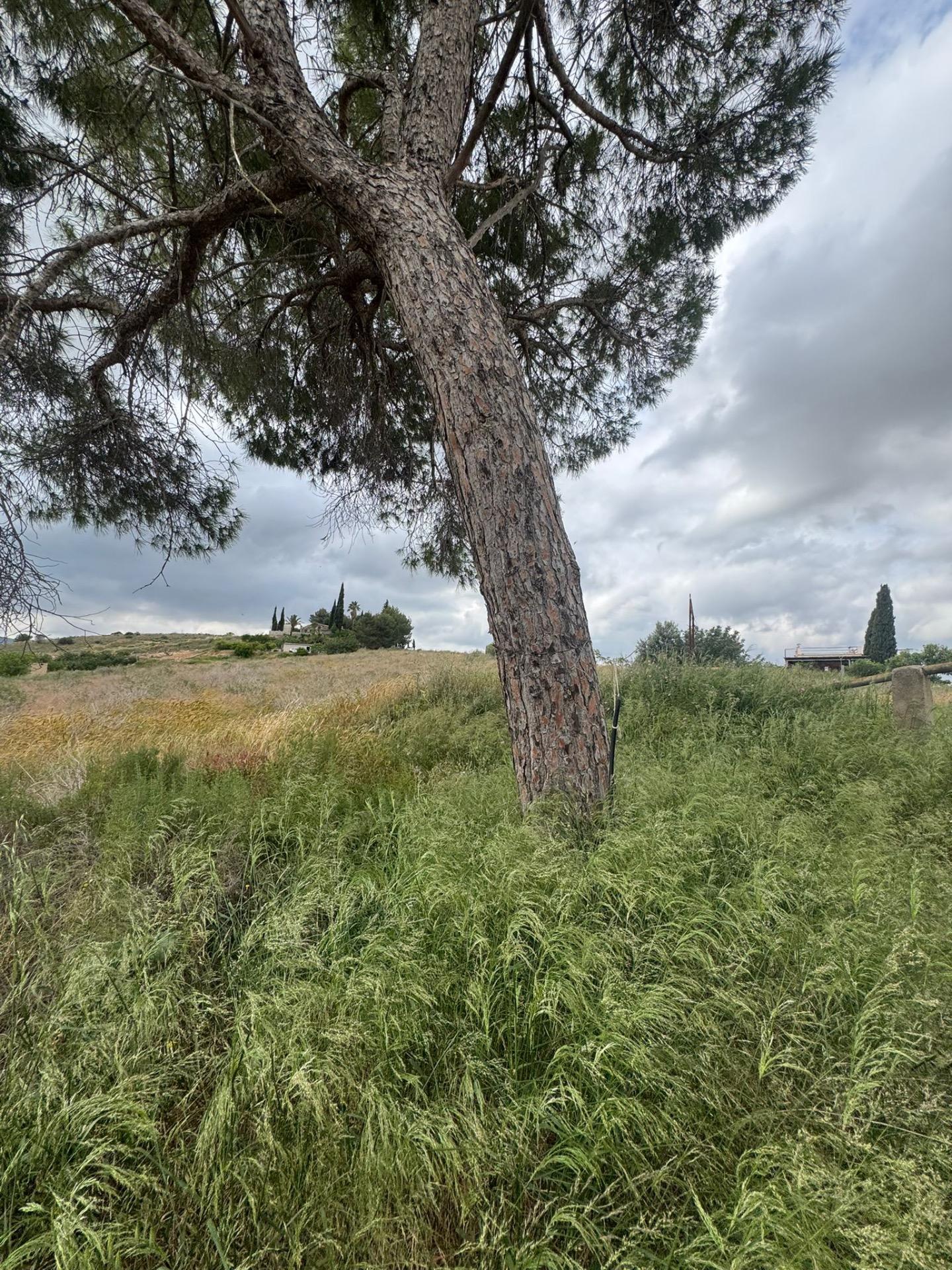 Finca for Sale in Abanilla, Murcia