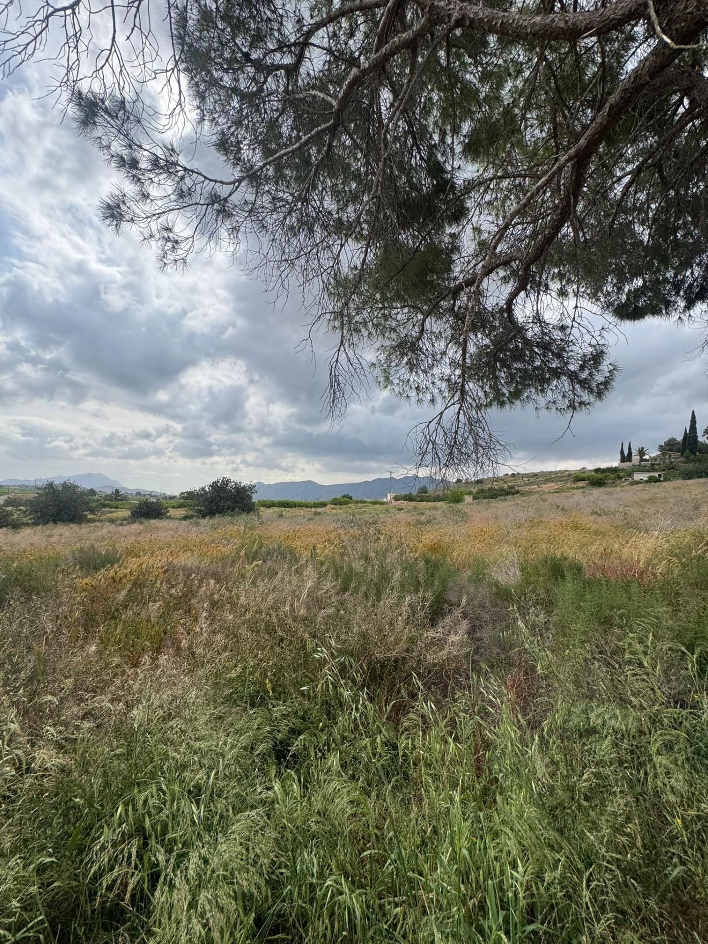 Finca for Sale in Abanilla, Murcia