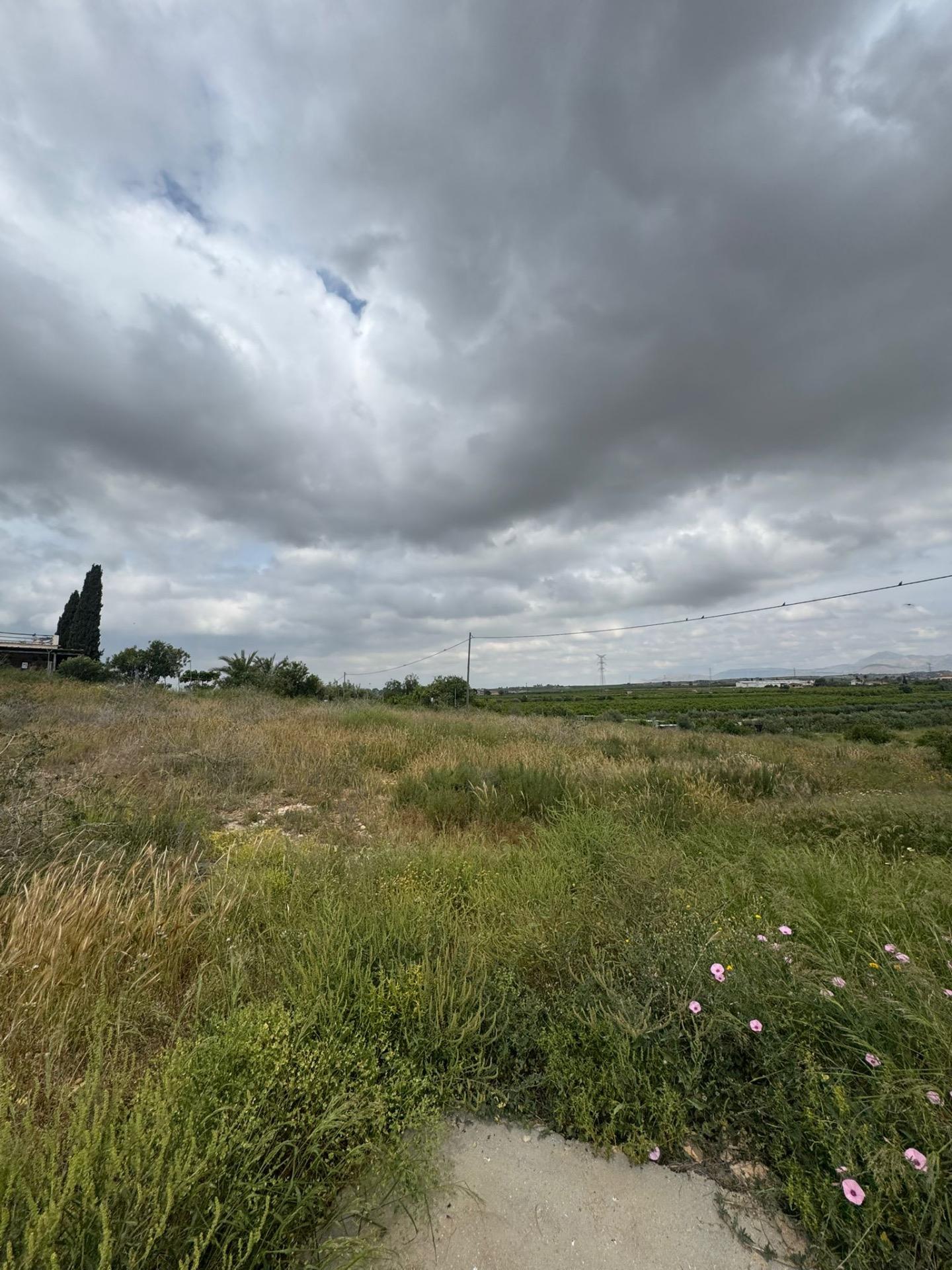 Finca for Sale in Abanilla, Murcia