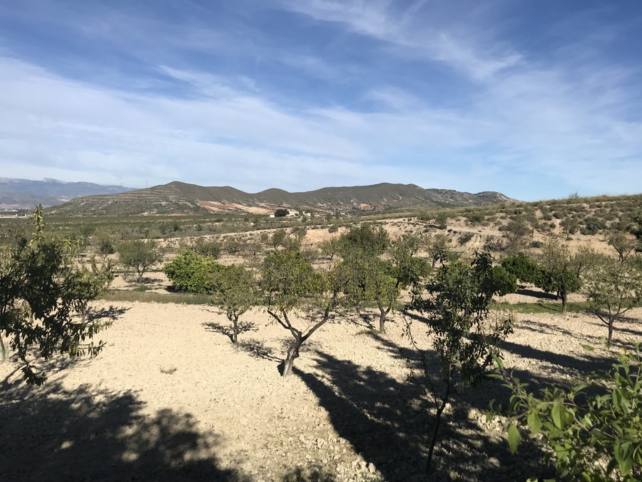 Finca for Sale in Lorca, Murcia