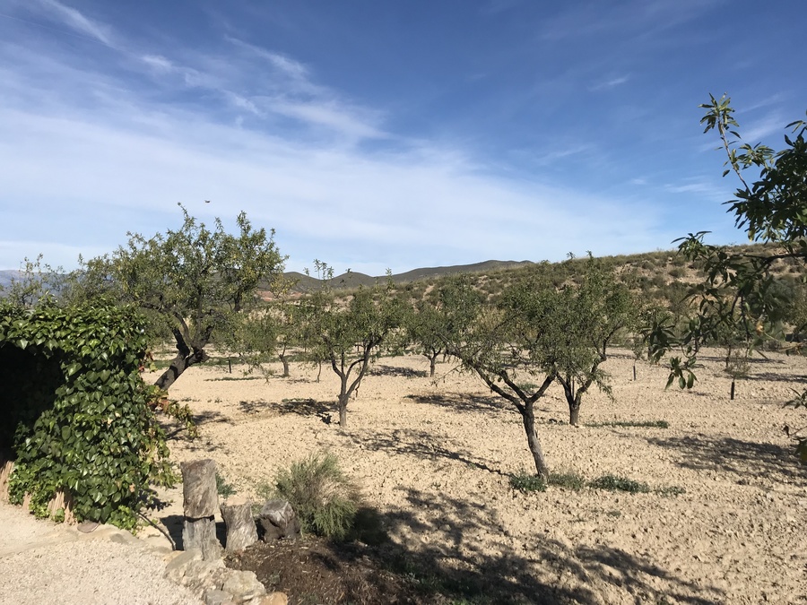 Finca for Sale in Lorca, Murcia