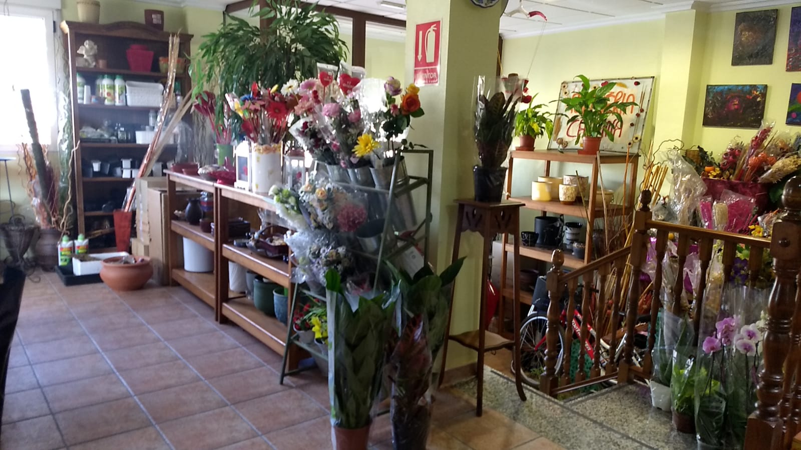 Town House for Sale in Pinoso, Alicante