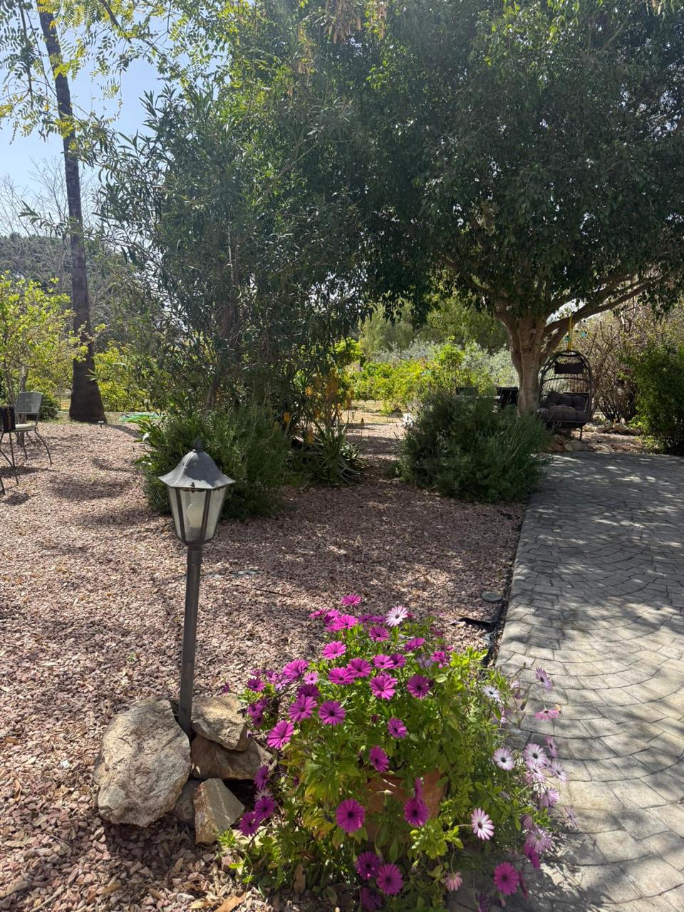 Private Mediterranean Estate with Guest Accommodation and Resort-Style Grounds
