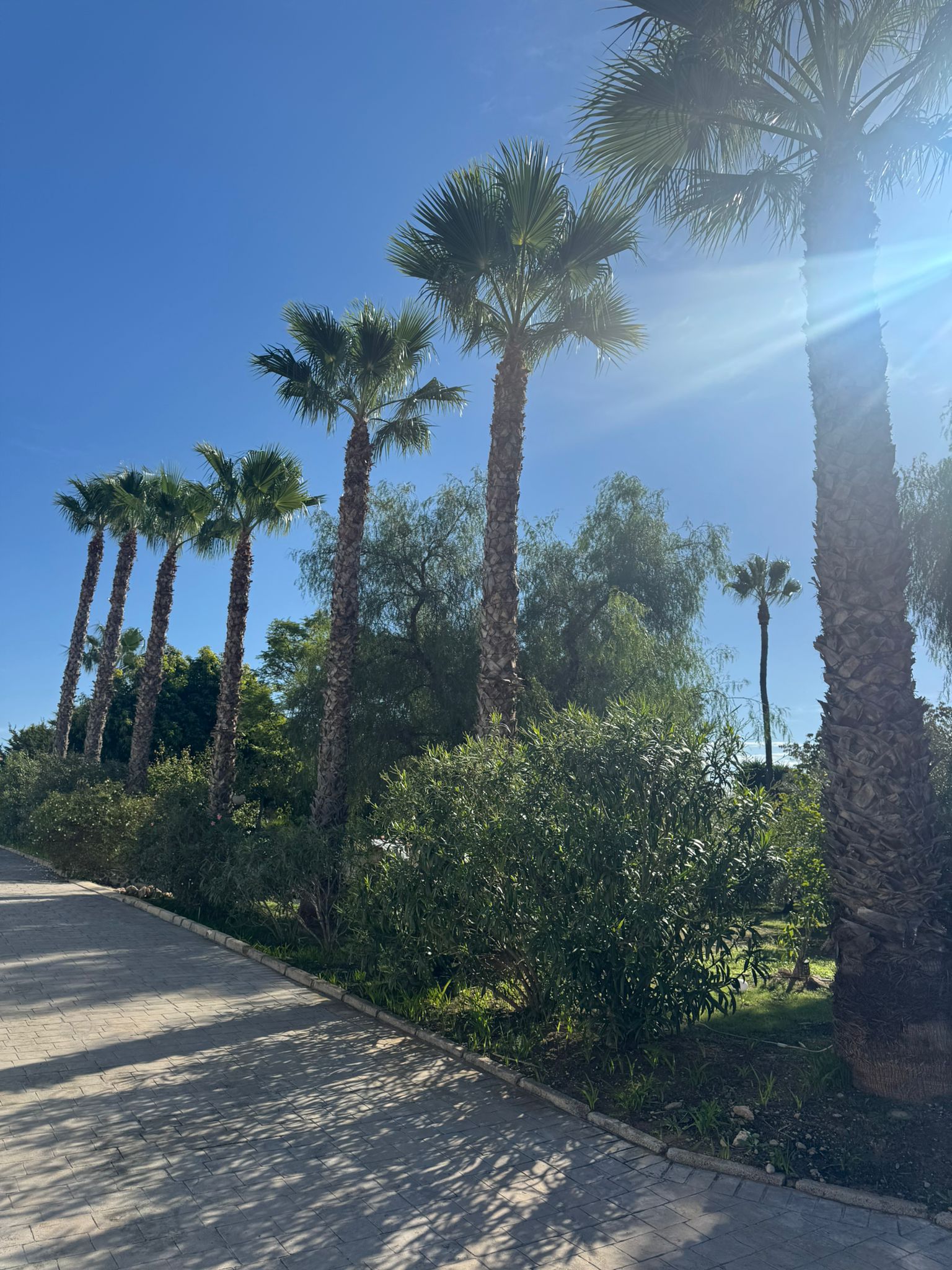 Private Mediterranean Estate with Guest Accommodation and Resort-Style Grounds
