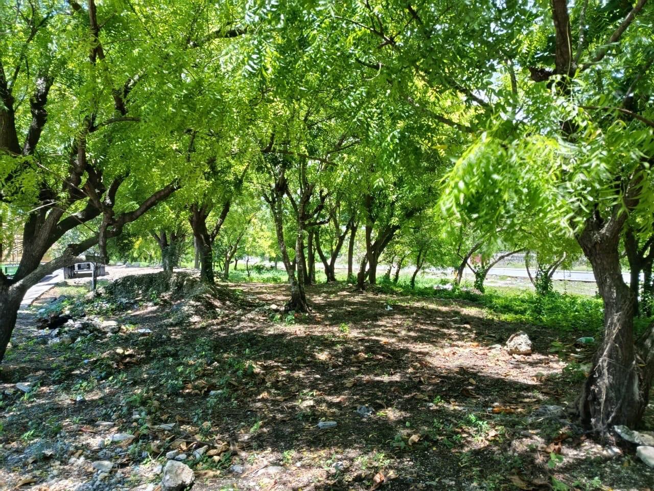 Caribbean Investment Property with Two Homes in Boca Chica