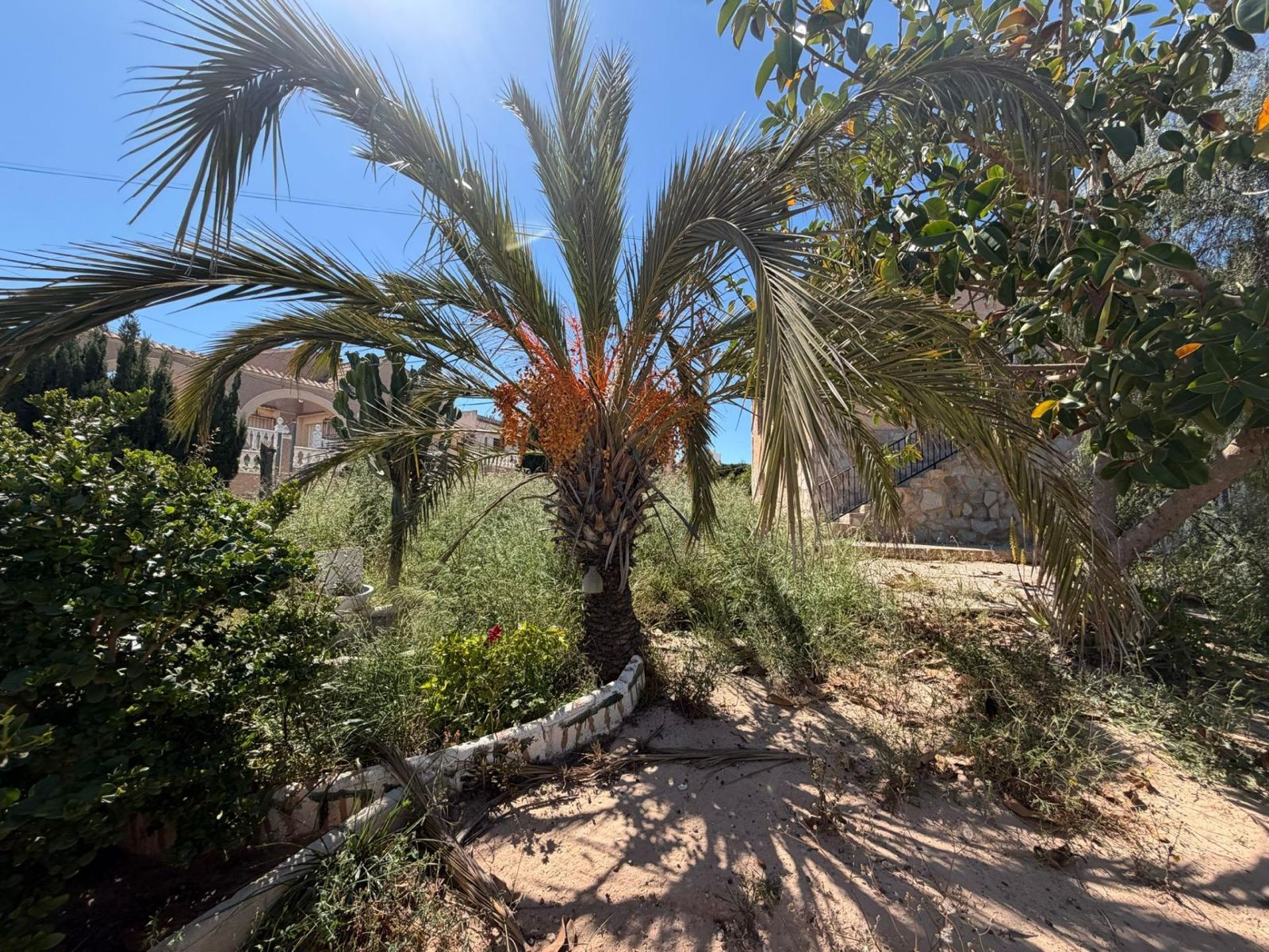 Detached Villa with Exceptional Renovation Potential in Los Balcones
