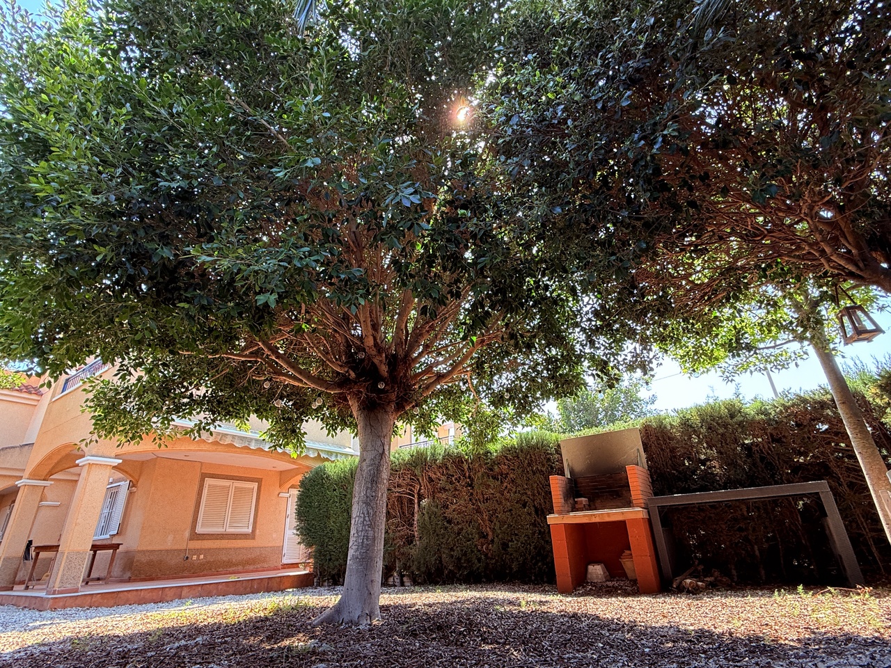 Town House for Sale in Mil Palmeras, Alicante