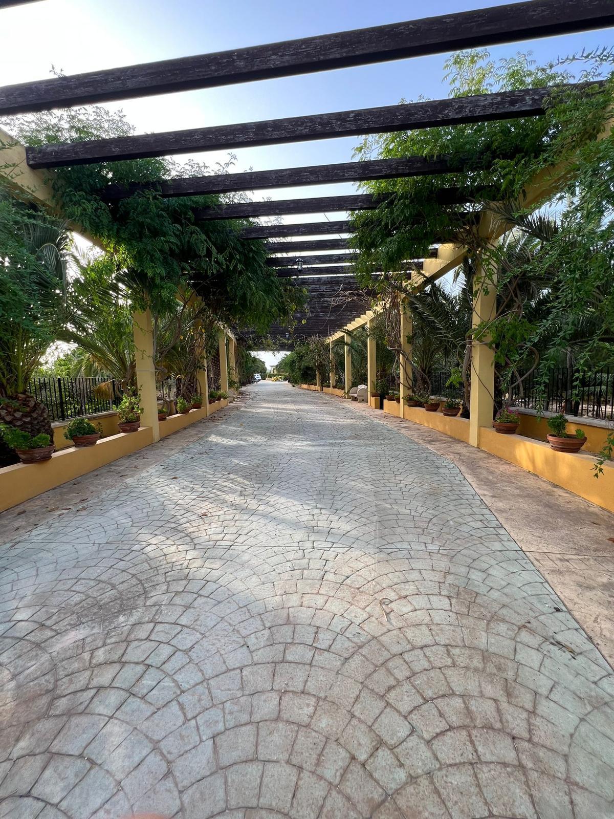 Luxury Mediterranean Estate with Private Orchard in Valverde, Elche