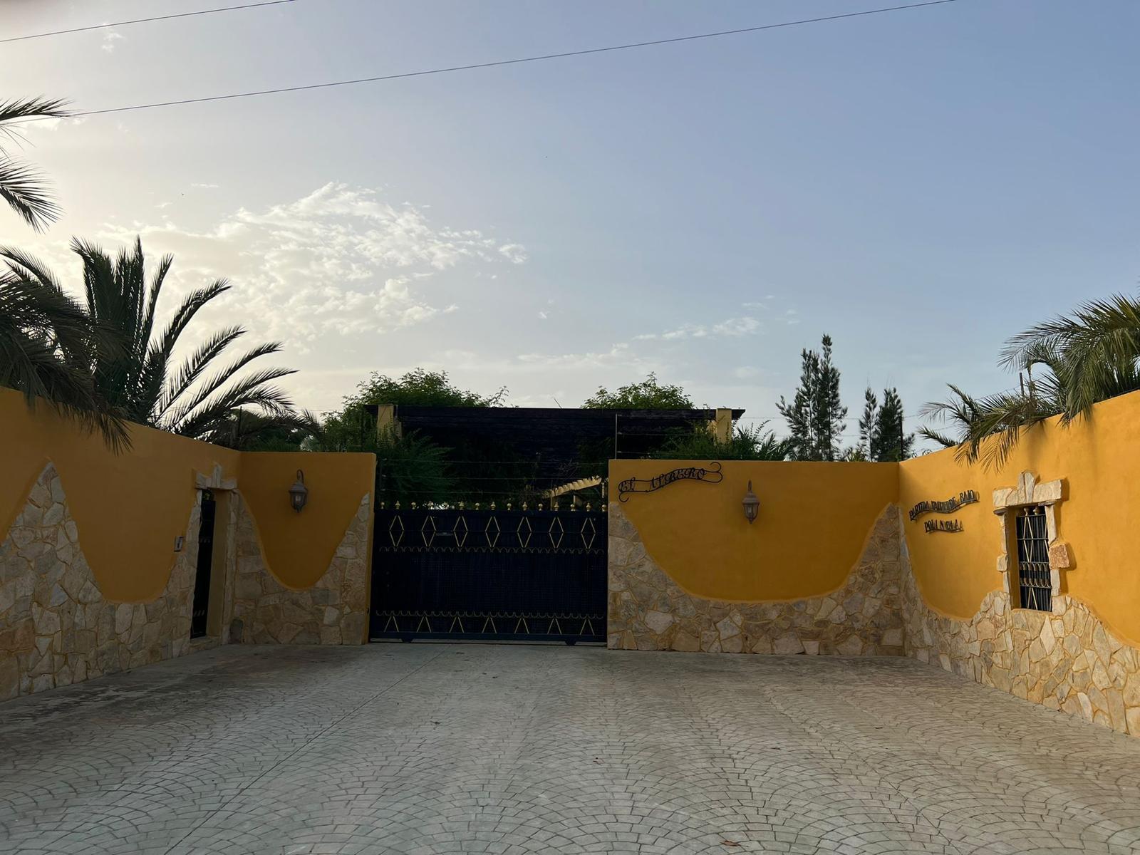 Luxury Mediterranean Estate with Private Orchard in Valverde, Elche