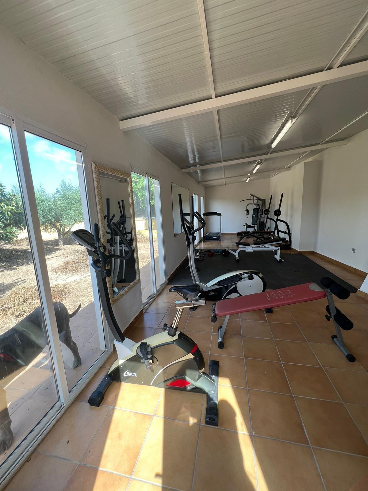 Luxury Mediterranean Estate with Private Orchard in Valverde, Elche